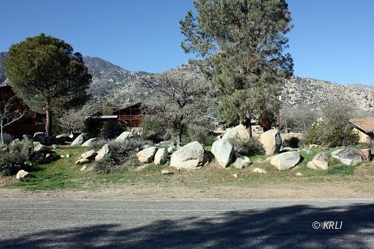 1st image of Pine Dr
