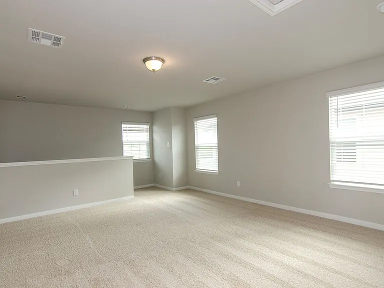 392 Fall Aster Dr — Photo 25