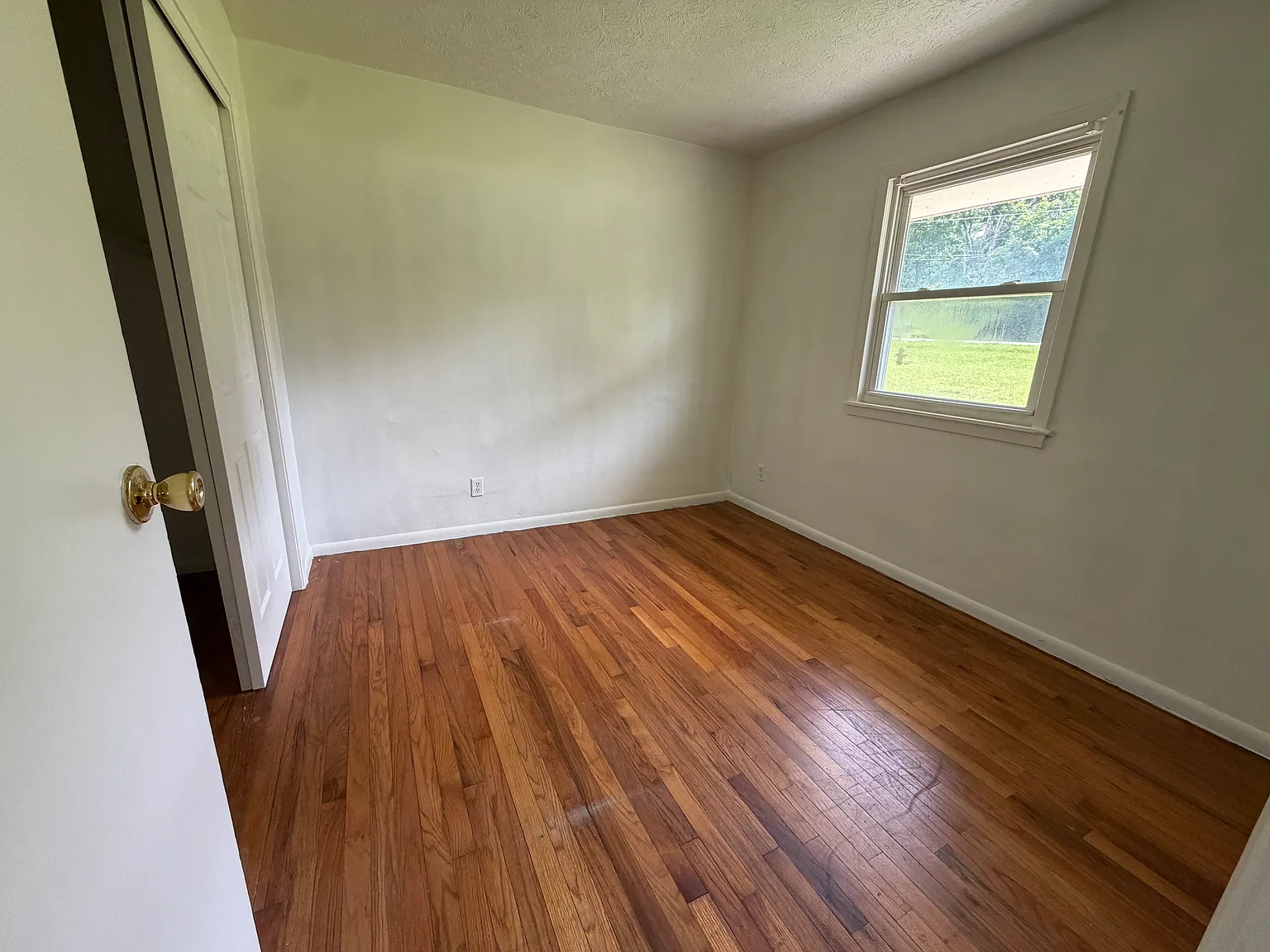 2 bed, $1,250 — Photo 3