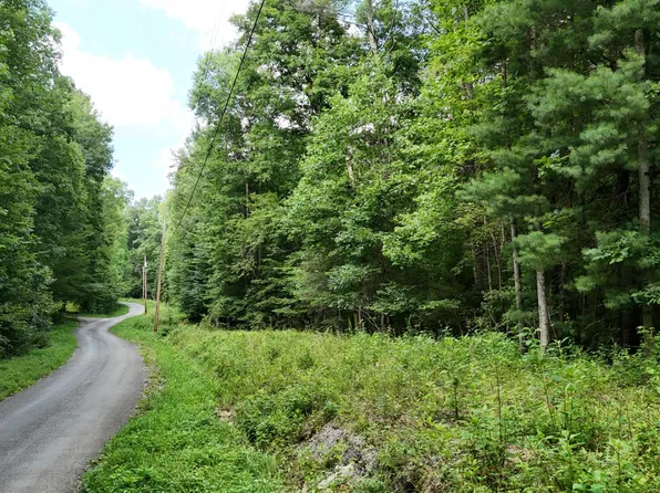1314 Clifton Cemetery Rd, Spring City, TN 37381