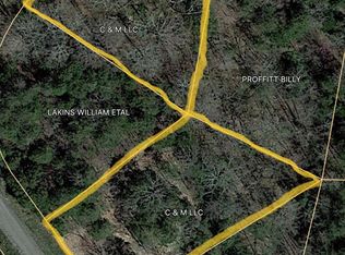 Iron Gate Dr, Baneberry, TN 37890