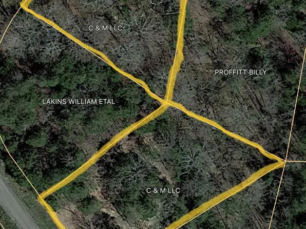 Iron Gate Dr, Baneberry, TN 37890