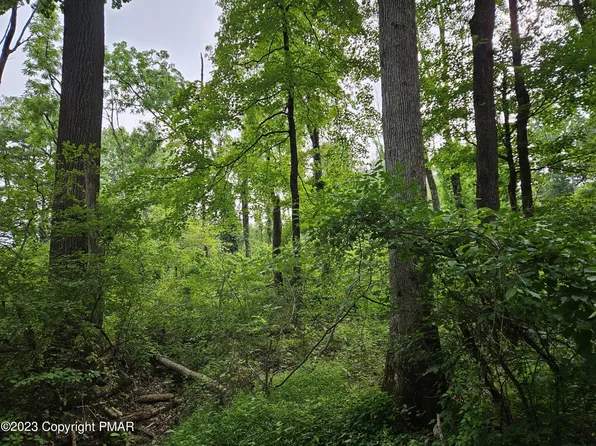 387 T, Saylorsburg, PA 18353