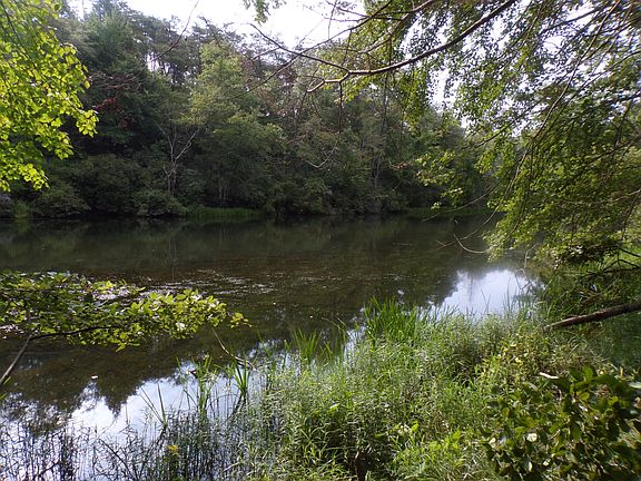 2nd image of 3 Basses Creek Ln