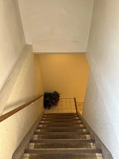 2 bed, 1.0 bath, 800 sqft, $1,000 — Photo 3