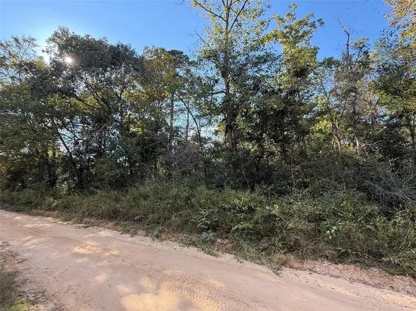 Tbd Lannie Blvd, Livingston, TX 77351