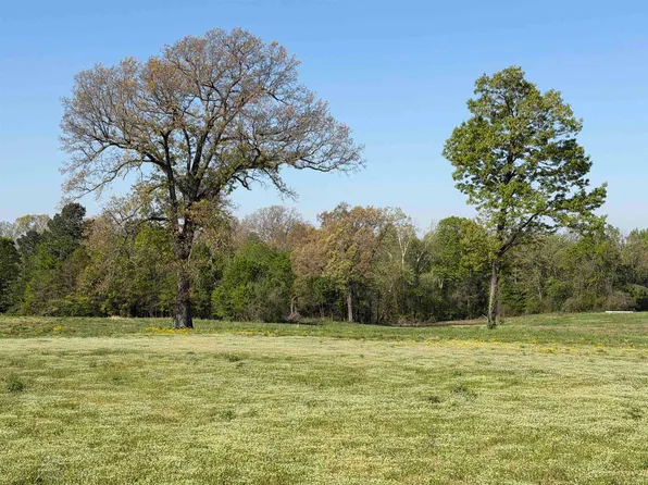 0A Burnette Rd, Williston, TN 38076