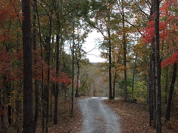 Winding Private Driveway