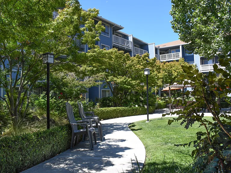 Stroll through our courtyard lined with vibrant roses, shaded by mature trees, and designed for relaxation.