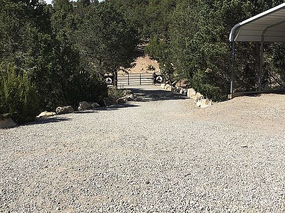 2nd image of 15 Zopilote