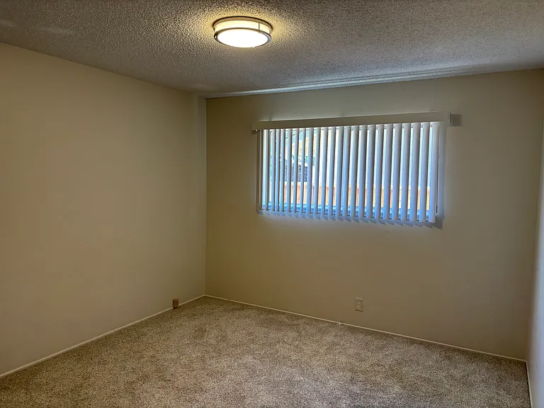 1286 Petal Way — Photo 11