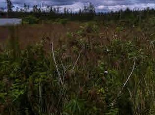 Silversword Ct LOT 6-14, Kurtistown, HI 96760