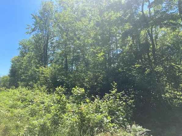 Boltwood Rd, Chase, MI 49623