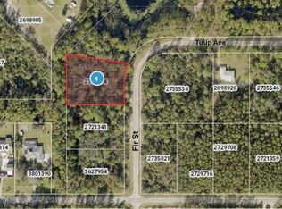 Fir St LOT 3, Eustis, FL 32736