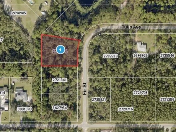 Fir St Lot 3, Eustis, FL 32736