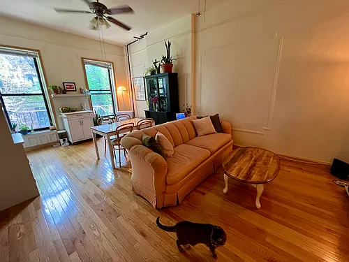 6 Brevoort Pl #3 Photo 1