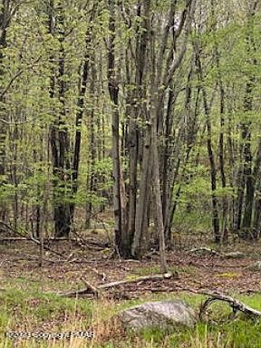 5th image of 52 Tamarack Ter