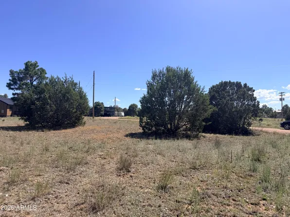 2287 MEADOW Lane #165, Overgaard, AZ 85933