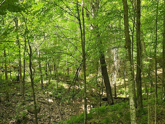 5th image of Edison Rd