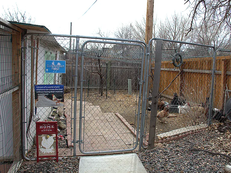 Chicken coop and run