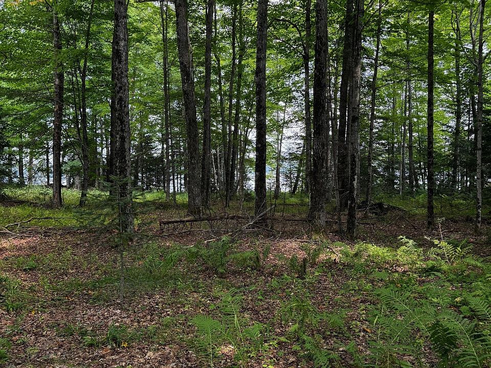 2nd image of W Amber Lake Rd Lot 3