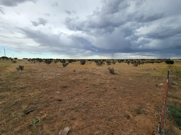 55 Highway, Mountainair, NM 87036