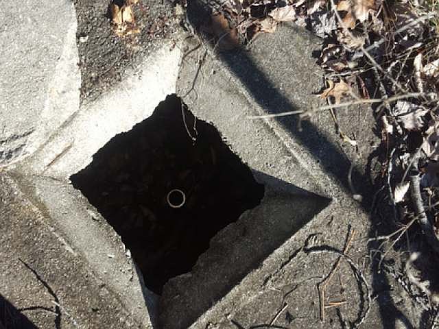 2nd image of 3075 Timberlane Rd