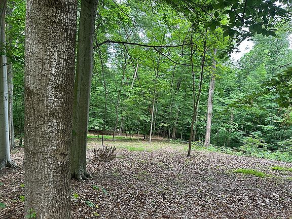 4th image of 0 N Oxford Ct Lot 266