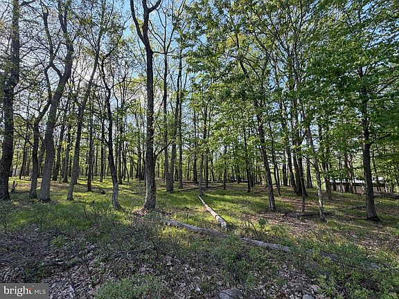 2nd image of 59 Jay Peak Ln
