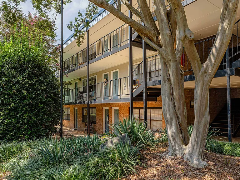 Selwyn Flats — Photo 49