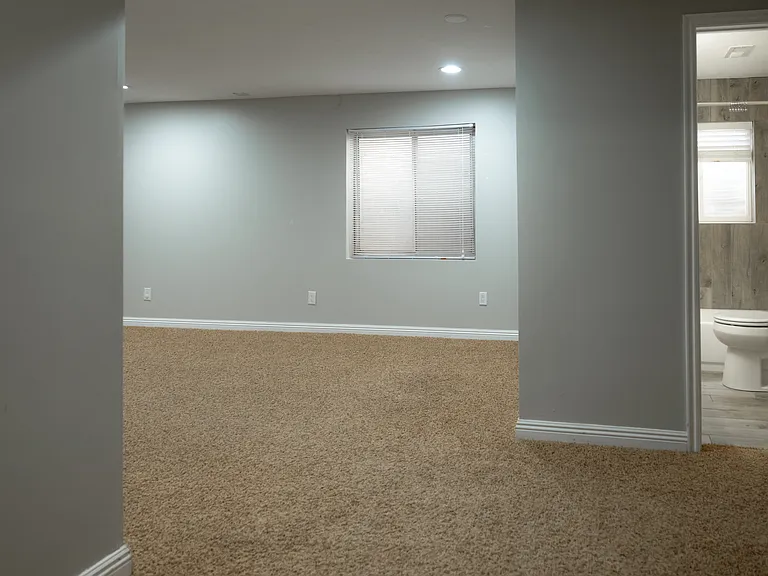 Basement Bonus room