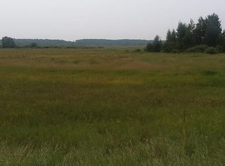 Leaf River Rd, Bluffton, MN 56518