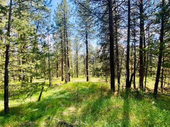 2890 Lower Lost Prairie Rd, Marion, MT 59925