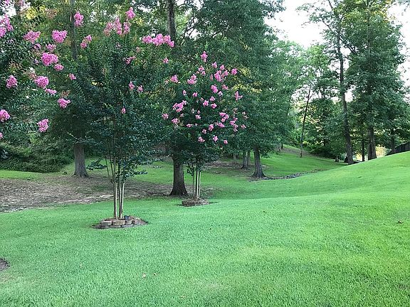 View toward back of property