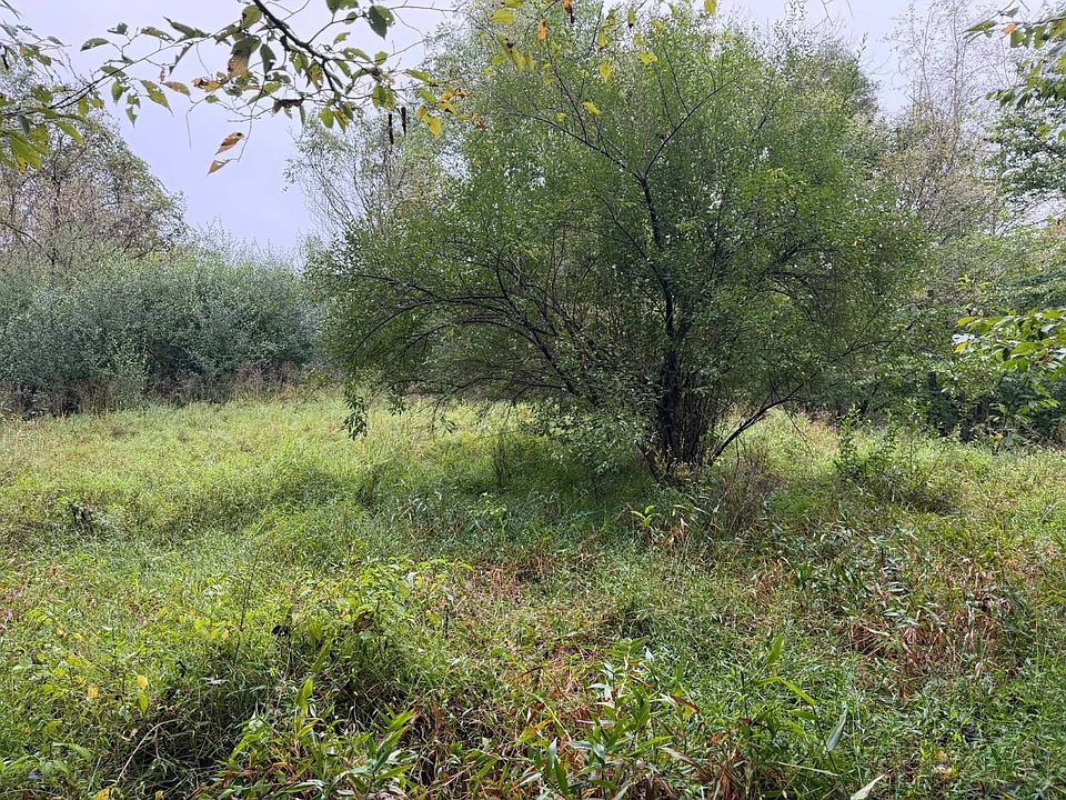 1st image of 0 Sarver Fork Rd