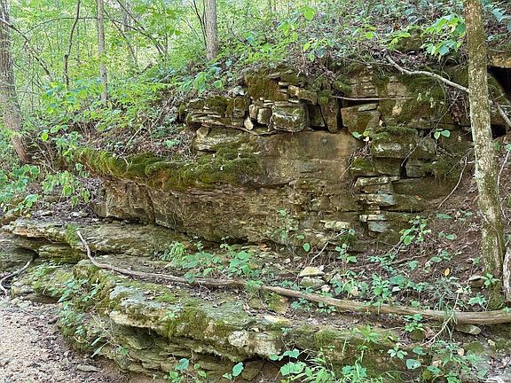 4th image of 550 Hillbilly Hollow Trl