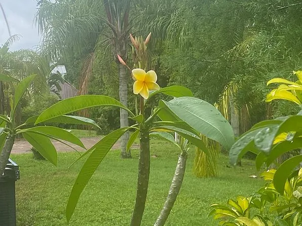 6811 Amanda Vista Cir, Land O Lakes, FL 34637