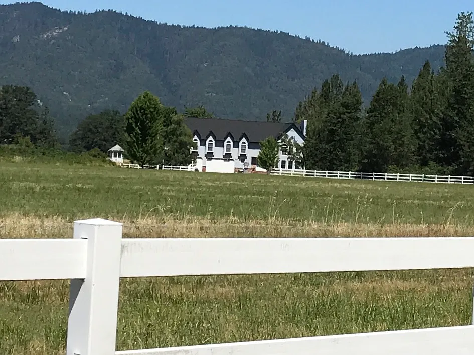 9456 Highway 234 photo 1