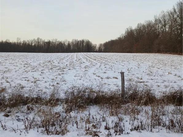 Selkirk Bush Rd, Newton Falls, OH 44444
