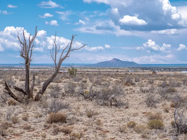 1438 E Grant St, Williams, AZ 86046