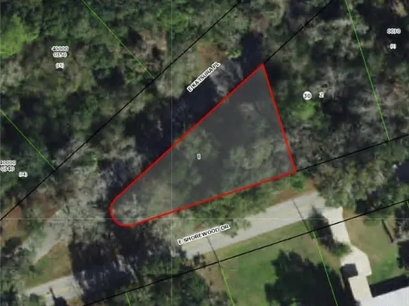 4381 E Shorewood Dr, Hernando, FL 34442