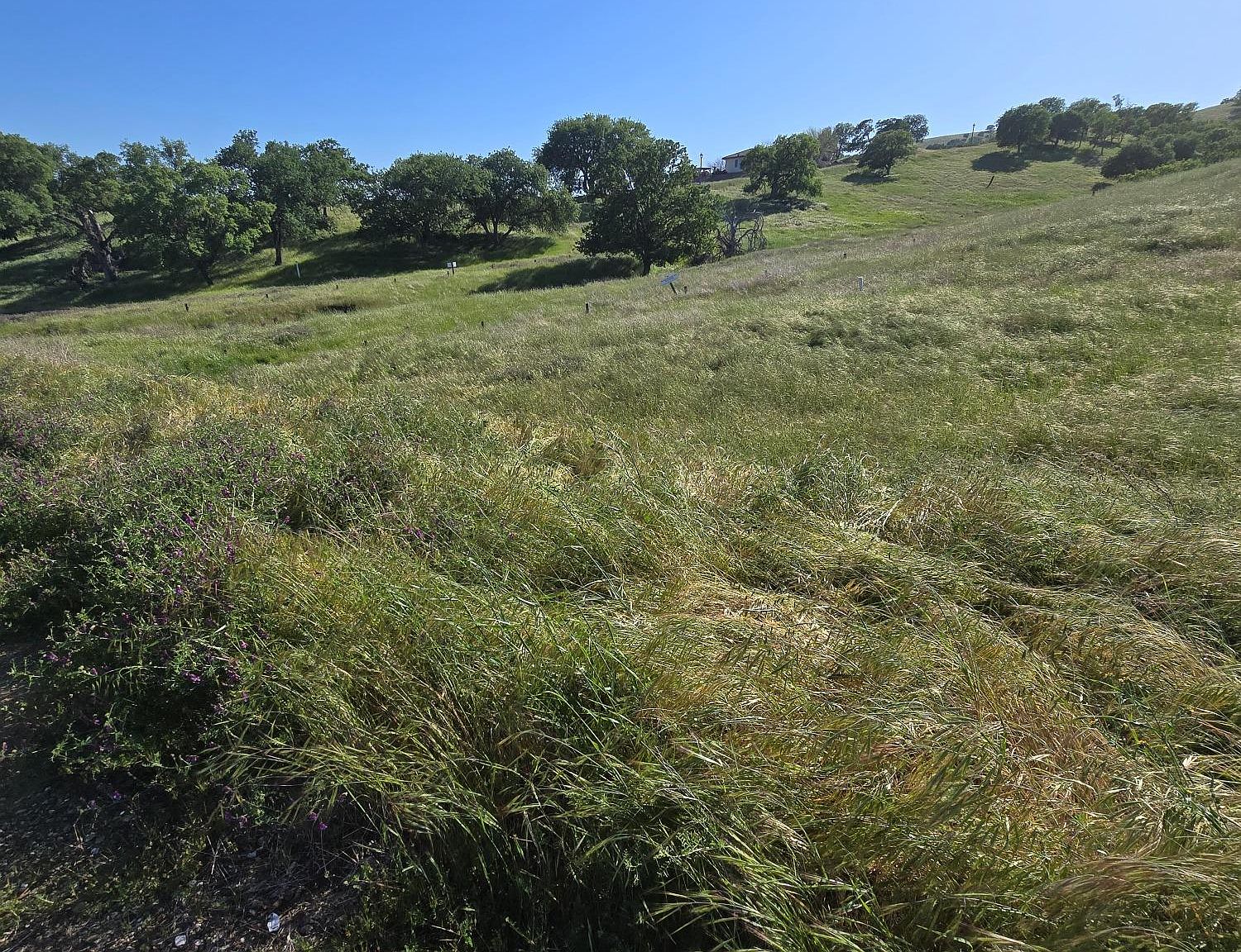 9421 Morton Davis Dr