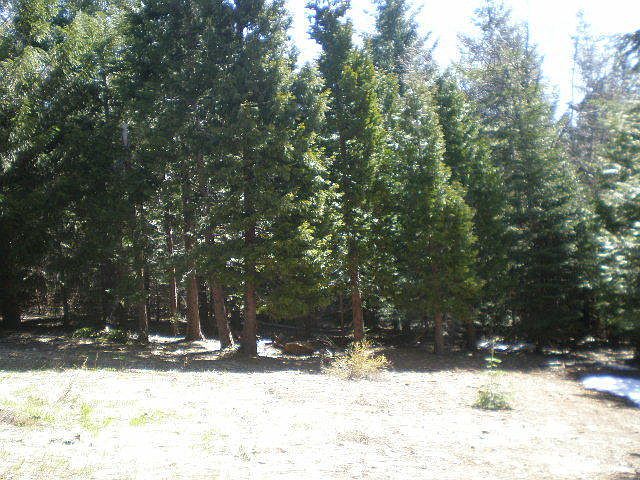 1st image of Eddy Cir Lot 48
