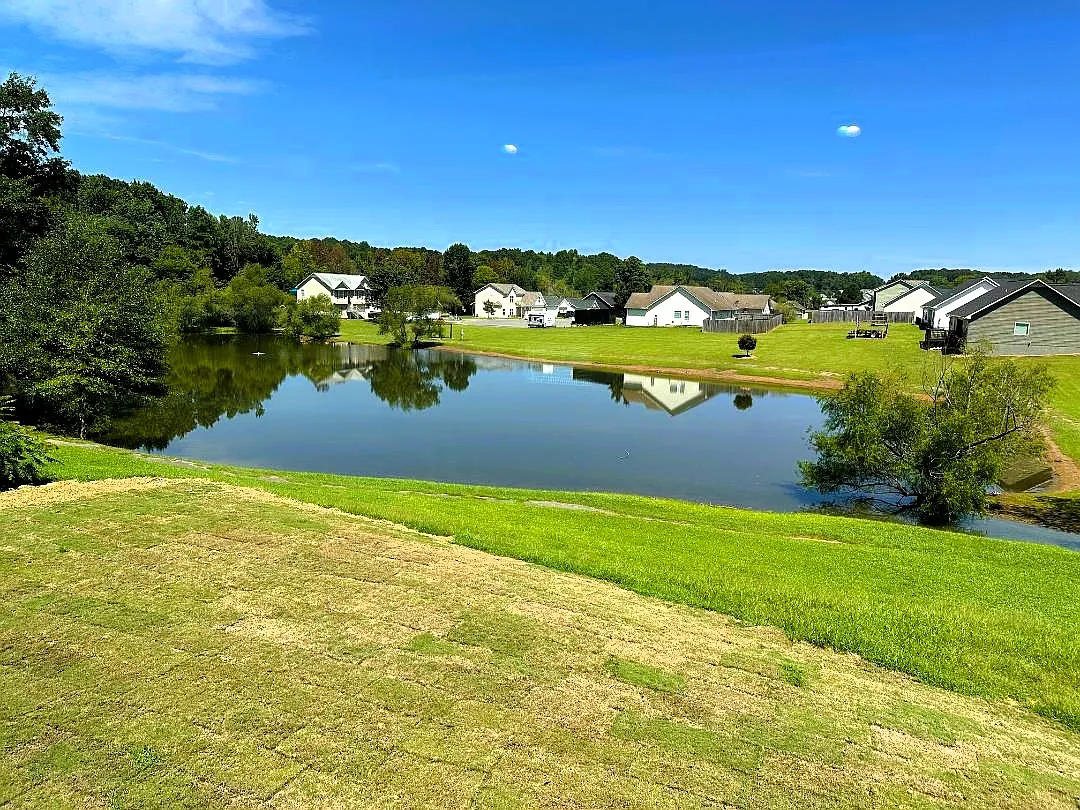4 bed, 2100 sqft, $2,000 — Photo 3