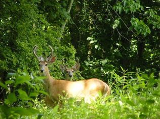 Patterson Hill Rd, Ardmore, TN 38449