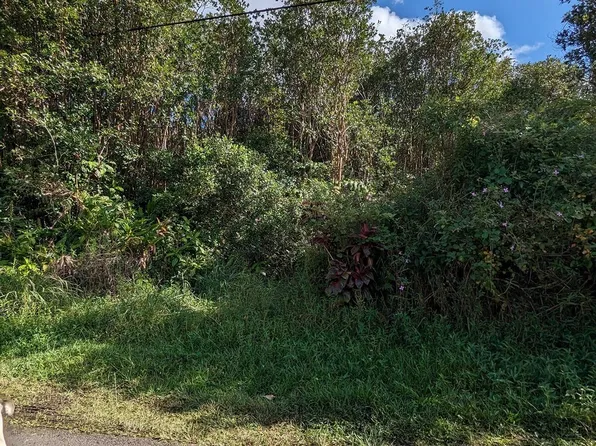 Puna Wai Ave Lot 5, Mountain View, HI 96771