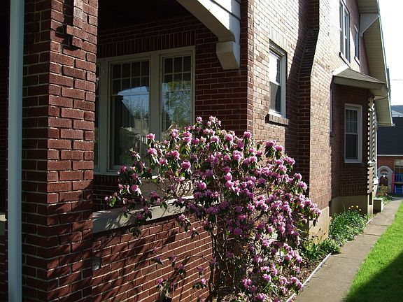 Maintanance free brickwork.   Roses, and flower beds, the dining room bay.