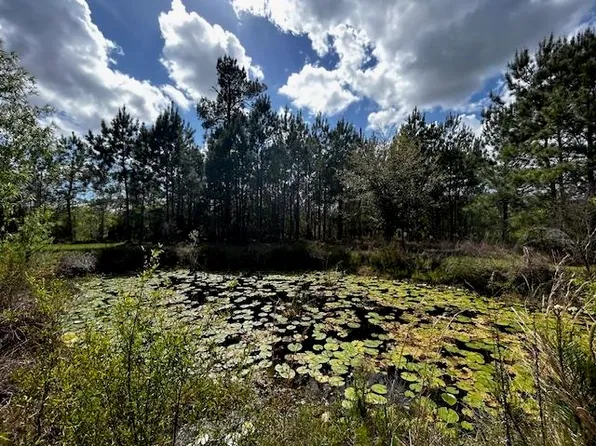 6914 State Route 71 S, Blountstown, FL 32424