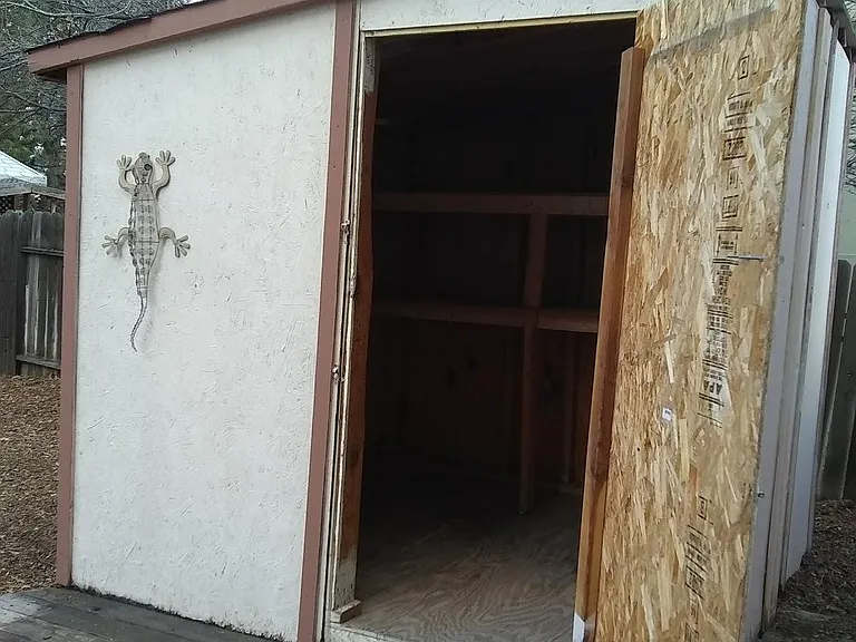 Shed in backyard