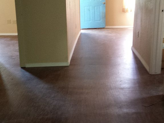 Hallway between living room Kitchen